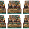 The Lord of the Rings: Tales of Middle-earth - Draft Booster Case