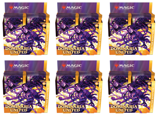 Dominaria United - Collector Booster Case