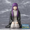 PREORDER Frieren: Beyond Journeys End PM Perching Figure Fern Binding Spell
