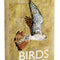 PREORDER Birds - The Card Game