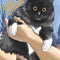 PREORDER Cat + Crazy Volume 3