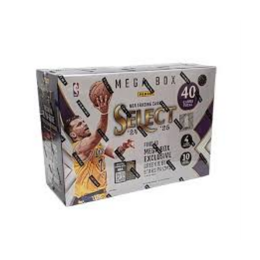 2024/25 Panini Select Basketball Hobby Mega 20 Box Case