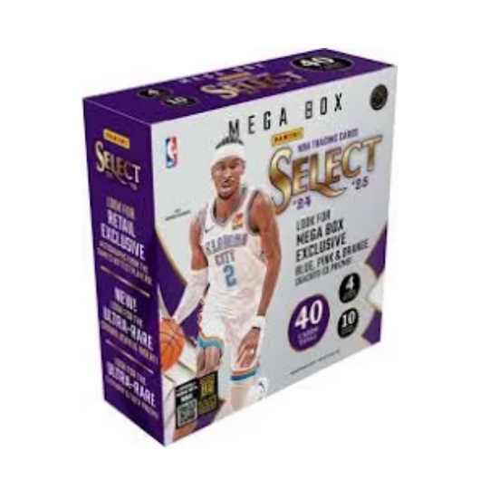2024/25 Panini Select Basketball Retail Mega 20 Box Case